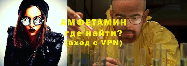 прущие грибы Ступино