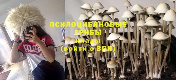 альфа пвп Ростов