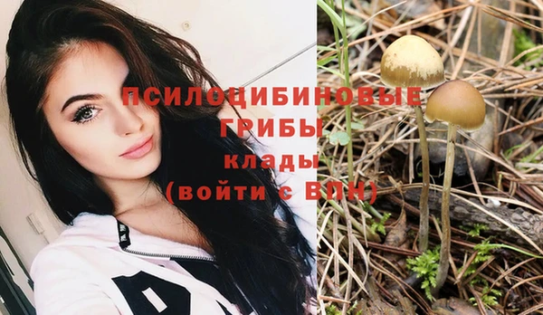 гидра Покров