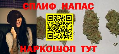круглые Бийск
