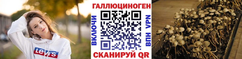 Галлюциногенные грибы мицелий  kraken ссылки  Коркино 