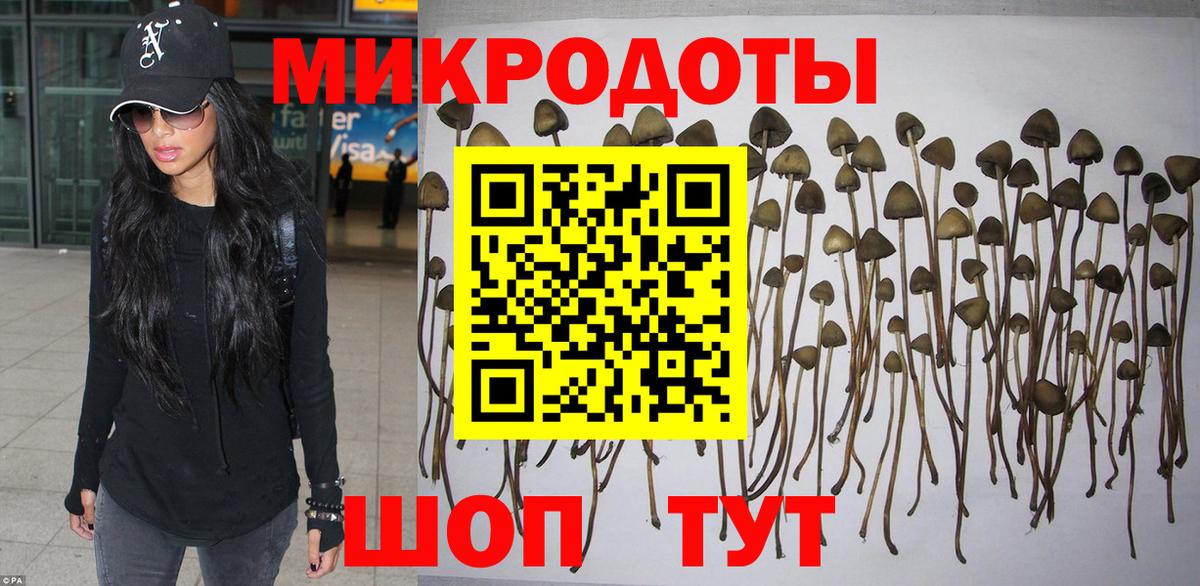 Галлюциногенные грибы Magic Shrooms  Вход с VPN  Коркино  Псилоцибиновые грибы ЛСД 