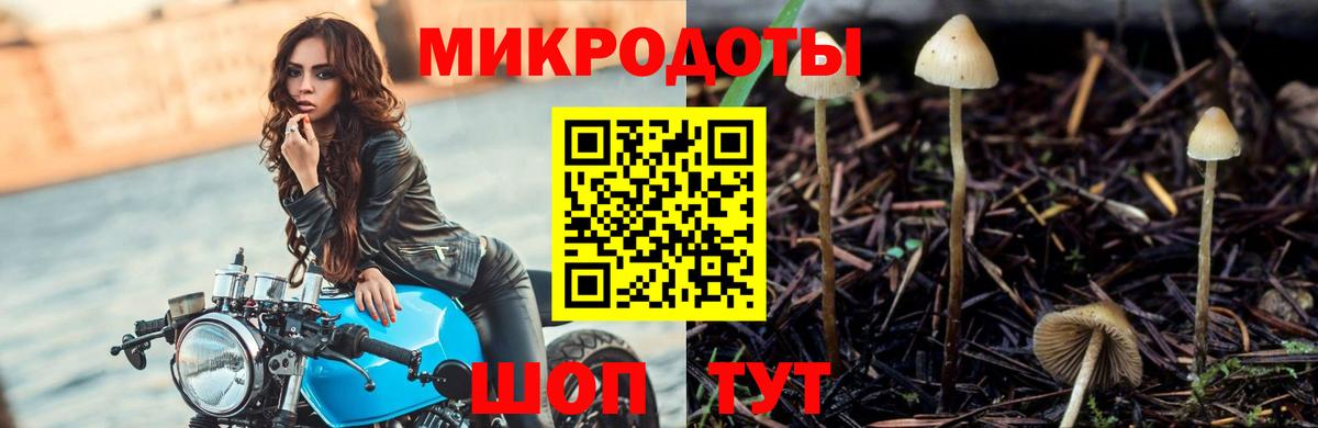 Псилоцибиновые грибы MAGIC MUSHROOMS Коркино