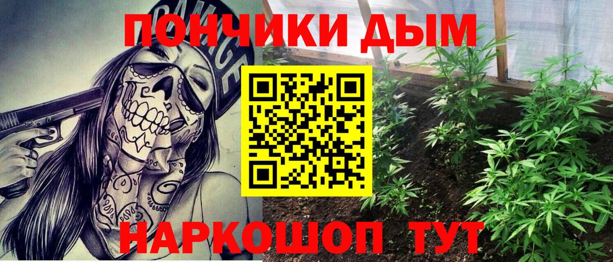 Конопля Bruce Banner Коркино
